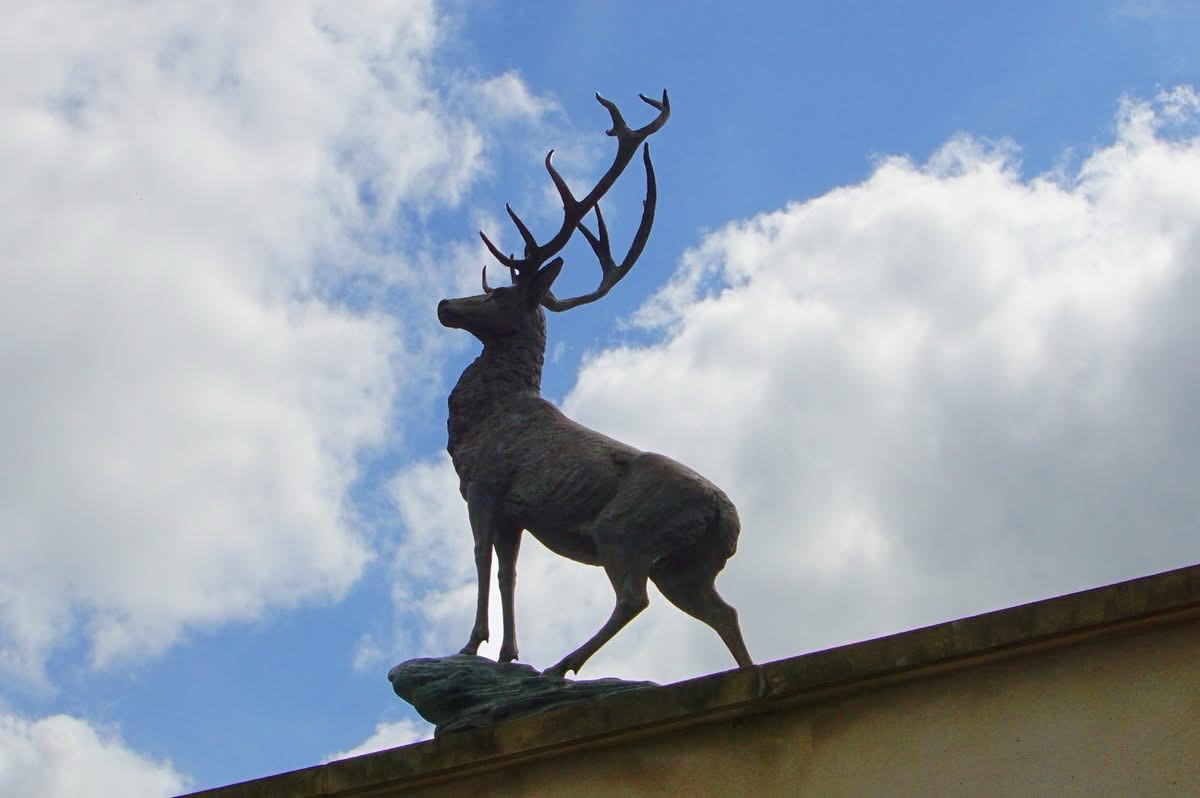 Appeal After Iconic Stag Statue Stolen from Local Hotel