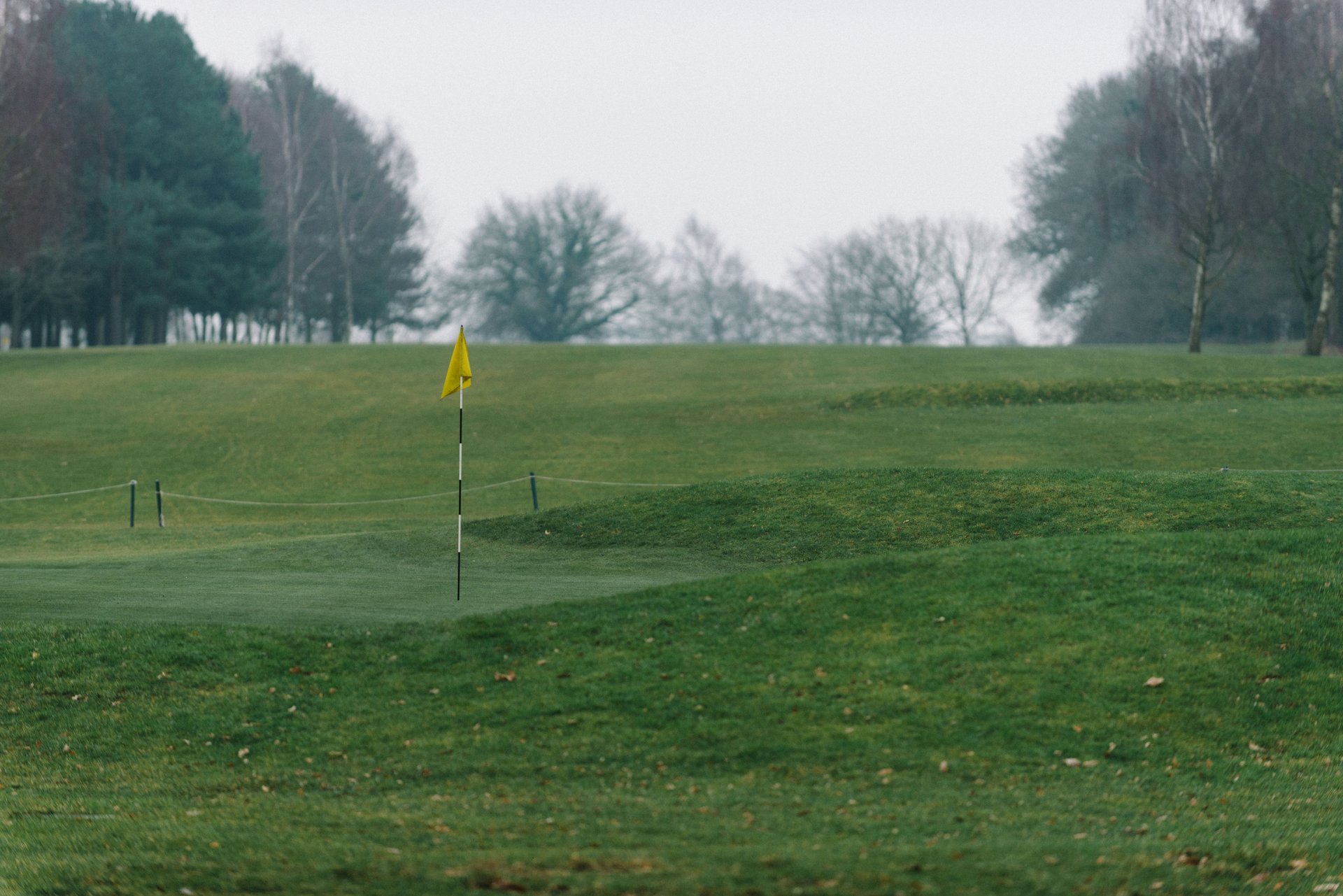 The 5 Best Golf Driving Ranges Near Retford